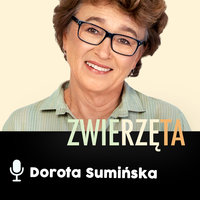 Podcast - #02 Zwierz też człowiek: Kim jest pies? - Dorota Sumińska
