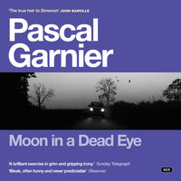 Moon in a Dead Eye - Pascal Garnier