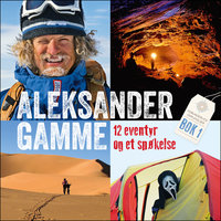 12 eventyr og et spøkelse - Aleksander Gamme