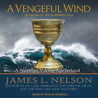 A Vengeful Wind: A Novel of Viking Age Ireland - James L. Nelson