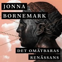 Det omätbaras renässans : En uppgörelse med pedanternas världsherravälde - Jonna Bornemark