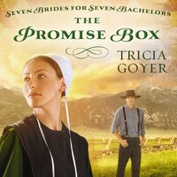 The Promise Box - Tricia Goyer