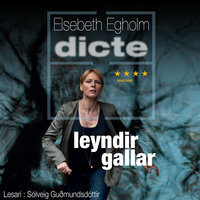 Leyndir gallar - Elsebeth Egholm