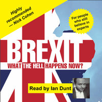 Brexit: What the Hell Happens Now?: Revised edition - Ian Dunt