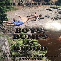 Boys, Bumps and Blood - Paul C. Slayback