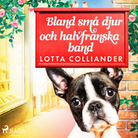 Bland små djur och halvfranska band - Lotta Colliander