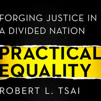 Practical Equality: Forging Justice in a Divided Nation - Robert Tsai