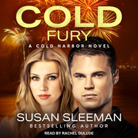 Cold Fury - Susan Sleeman