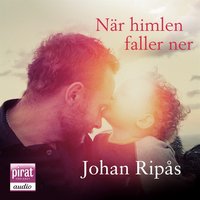 När himlen faller ner - Johan Ripås