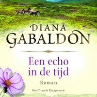 Een echo in de tijd 2 Bloed zweet en augurken: De reiziger boek 7 - Diana Gabaldon