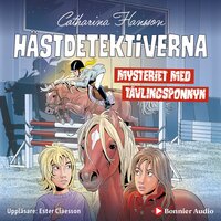 Mysteriet med tävlingsponnyn - Catharina Hansson