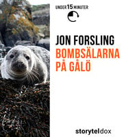 Bombsälarna på Gålö - Jon Forsling