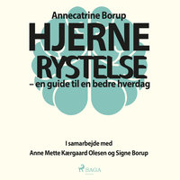 Hjernerystelse - En guide til en bedre hverdag: En guide til en bedre hverdag - Annecatrine Borup, Signe Borup, Anne Mette Kærgaard Olesen