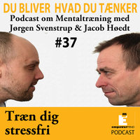 Opnå Stressfrihed - Jørgen Svenstrup
