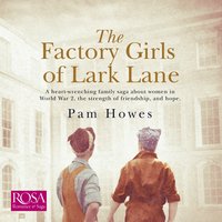 The Factory Girls of Lark Lane: Lark Lane 1 - Pam Howes