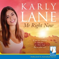 Mr Right Now - Karly Lane