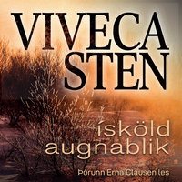 Ísköld augnablik - Viveca Sten