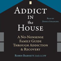 Addict in the House: A No-Nonsense Family Guide Through Addiction and Recovery - Robin Barnett