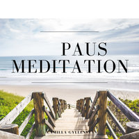 Paus - Meditation - Camilla Gyllensvan
