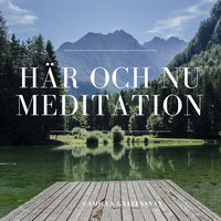 Här och nu - meditation - Camilla Gyllensvan