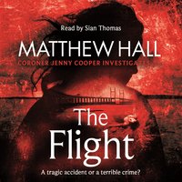 The Flight - Matthew Hall