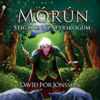 Mórún – Stigamenn í Styrskógum - Davíð Þór Jónsson