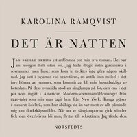 Det är natten : författaren och den som skriver - Karolina Ramqvist