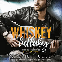 Whiskey Lullaby - Stevie J. Cole