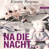 Na die nacht...: Familieroman - Kirstin Rozema