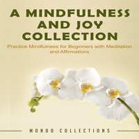 A Mindfulness and Joy Collection: Practice Mindfulness for Beginners with Meditation and Affirmations - Mondo Collections