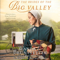 The Brides of the Big Valley: 3 Romances from a Unique Pennsylvania Amish Community - Jean Brunstetter, Richelle Brunstetter, Wanda E Brunstetter