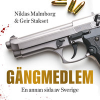 Gängmedlem : en annan sida av Sverige - Geir Stakset, Niklas Malmborg