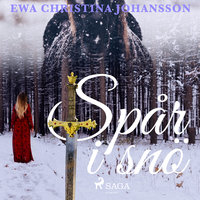Spår i snö - Ewa Christina Johansson
