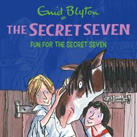Fun for the Secret Seven: Book 15 - Enid Blyton