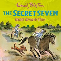 Secret Seven Mystery: Book 9 - Enid Blyton