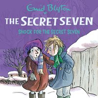 Shock for the Secret Seven: Book 13 - Enid Blyton