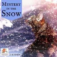 Mystery in the Snow - J.M. Evans