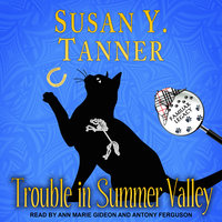 Trouble in Summer Valley - Susan Y. Tanner