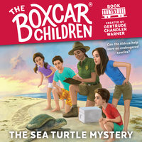 The Sea Turtle Mystery - Gertrude Chandler Warner