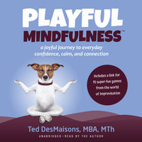 Playful Mindfulness: A joyful journey to everyday confidence, calm, and connection - Ted DesMaisons