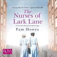 The Nurses of Lark Lane: Lark Lane 3 - Pam Howes