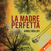 La madre perfetta - Aimee Molloy