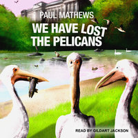 We Have Lost The Pelicans - Paul Mathews