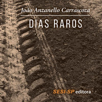 Dias raros - João Anzanello Carrascoza