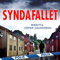 Syndafallet - Birgitta Höper Agardsson