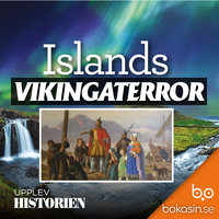 Islands vikingaterror - Bokasin