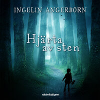 Hjärta av sten - Ingelin Angerborn