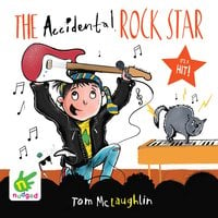 The Accidental Rock Star - Tom McLaughlin