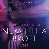 Numinn á brott - Erótísk smásaga - Reiner Larsen Wiese