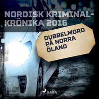 Dubbelmord på norra Öland - Diverse